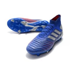 Adidas Predator 19.1 FG - Blauw Zilver_6.jpg